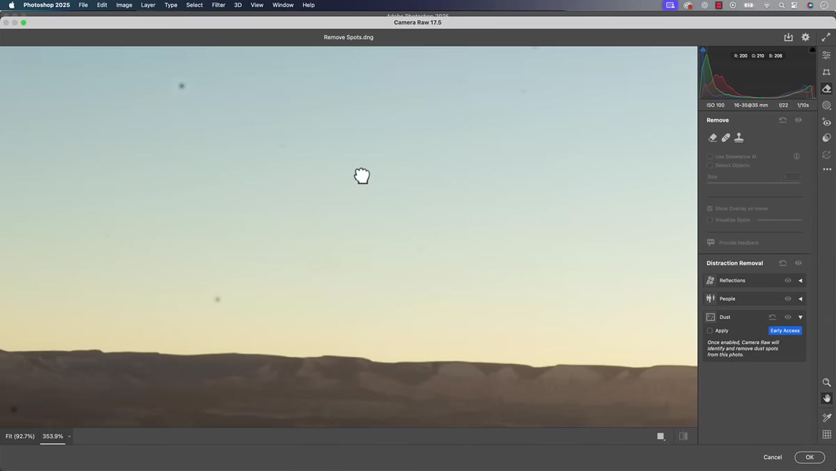 Zoomed-in view showing multiple sensor dust spots across the photo