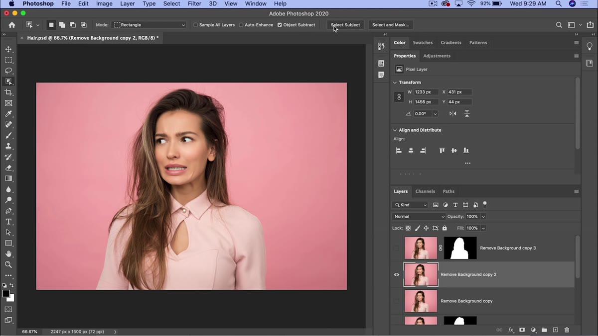 Select Subject applied, layer mask added to duplicate layer