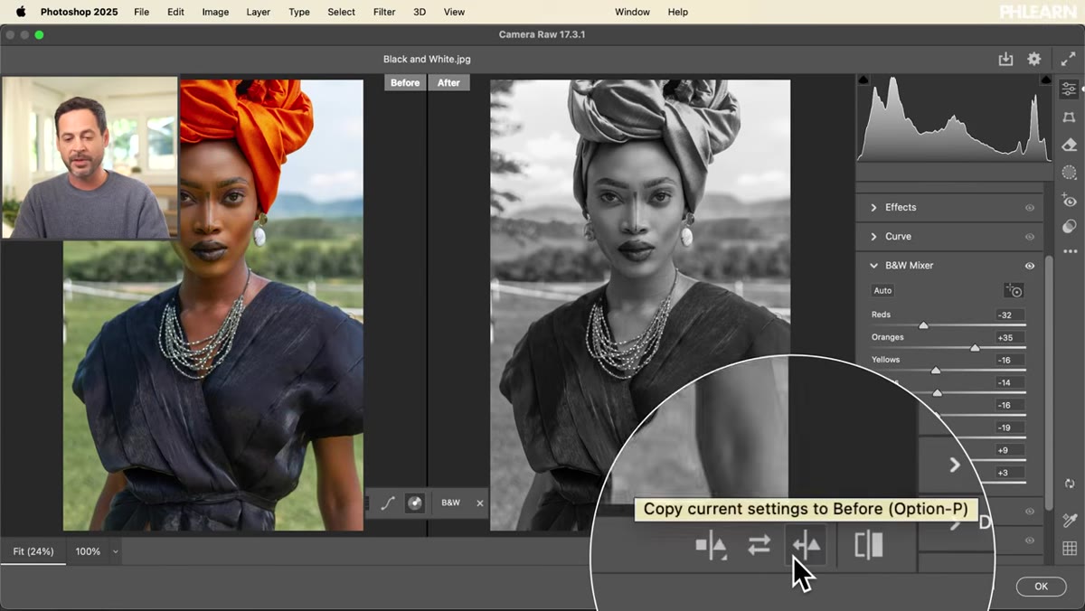 Split before/after view active inside Camera Raw