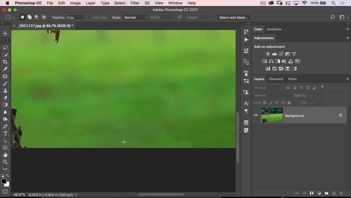 Zoomed view showing blobby artifacts left by Content Aware Fill
