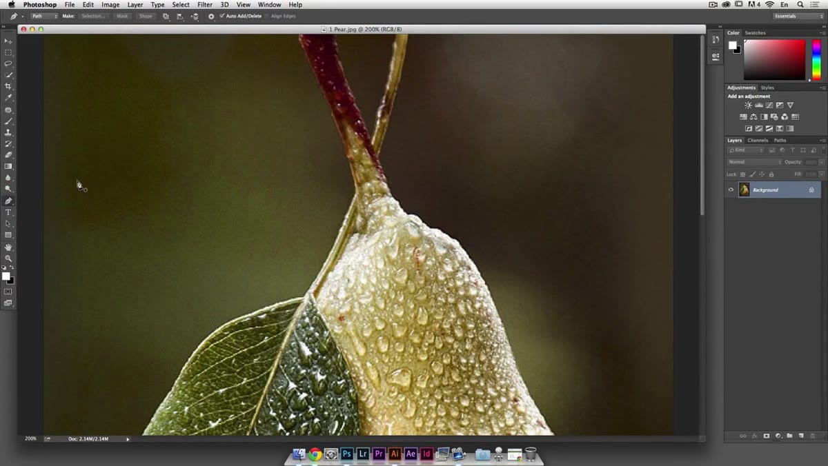 Pen tool selected in Photoshop toolbar, options bar showing &ldquo;Path&rdquo; mode