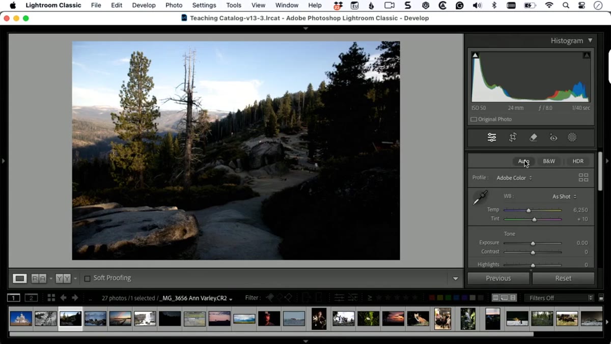 Clicking the Auto button in the Basic panel, sliders adjusting automatically