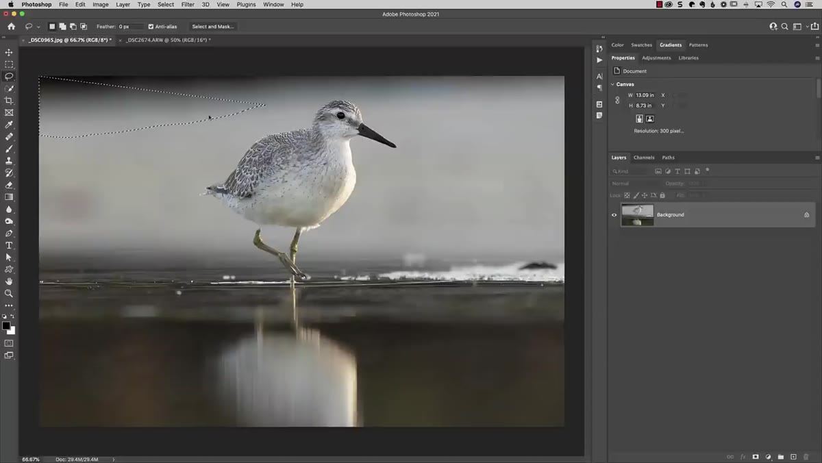 Lasso tool drawing selection around clean foreground area
