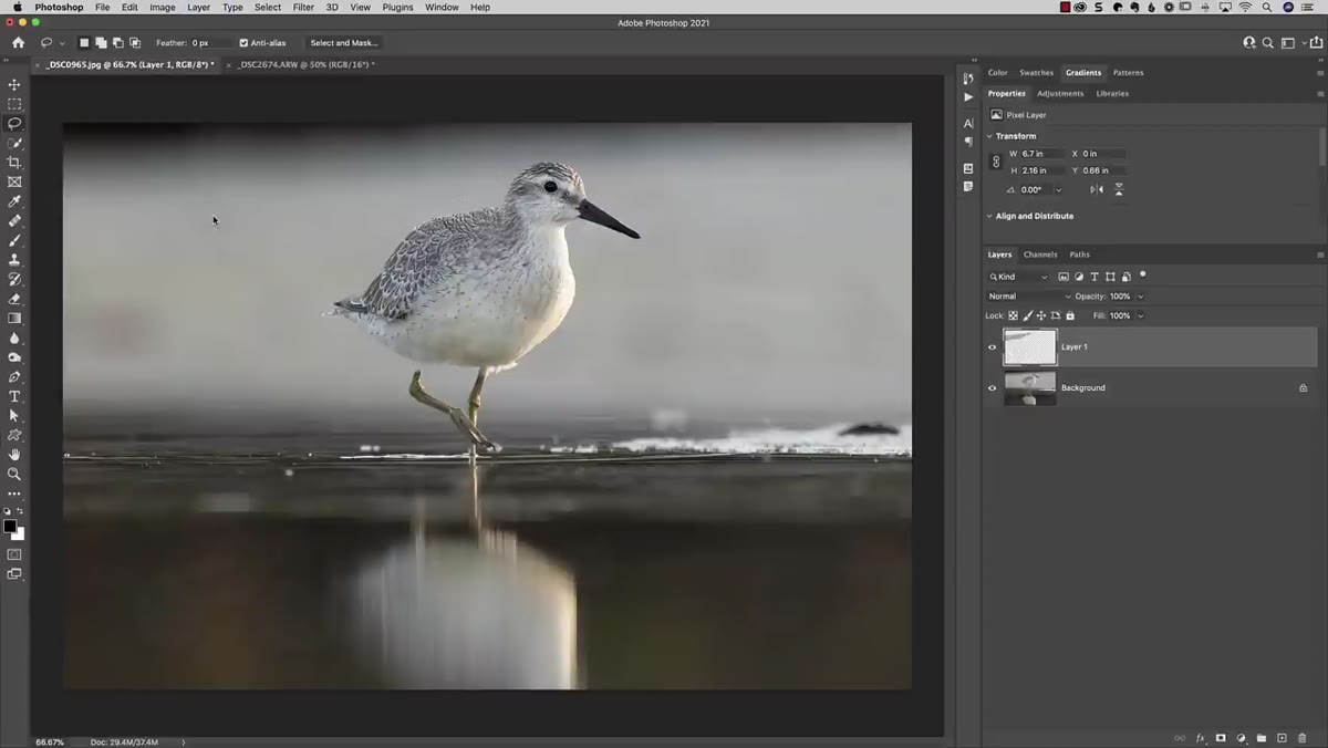 Layers panel showing duplicated layer from selection