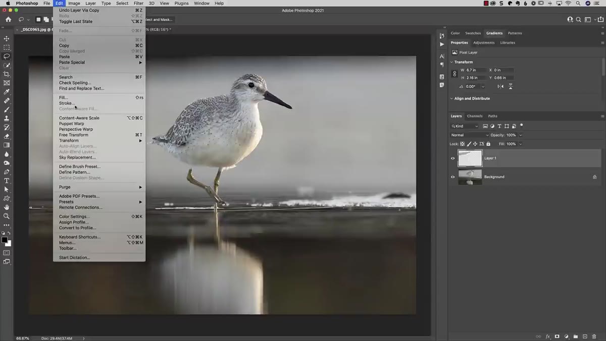 Free Transform handles visible around the duplicated layer patch