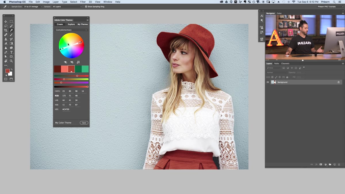 Complementary color mode selected, two color families displayed