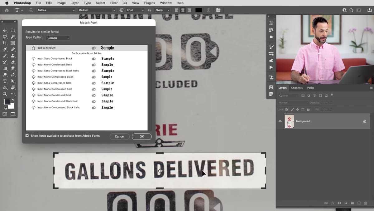Match Font results panel showing a list of suggested font matches