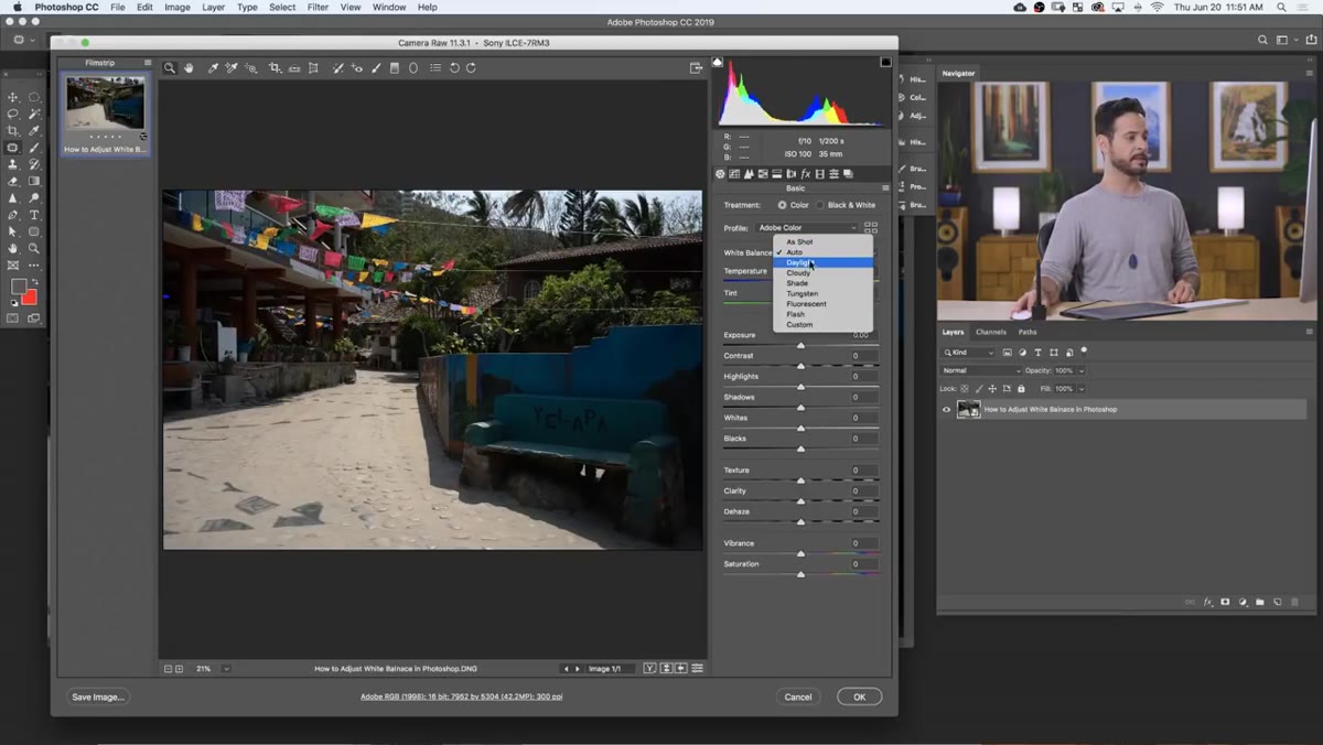White balance preset dropdown showing Daylight, Tungsten, Fluorescent options