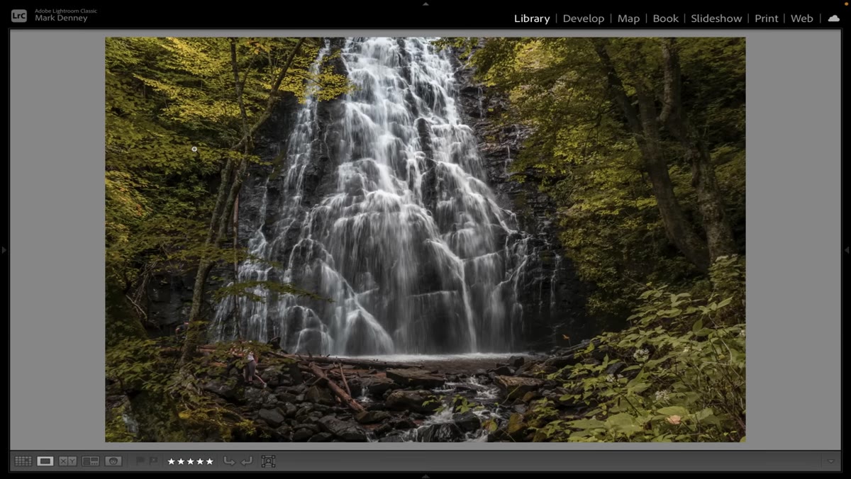 Toggling between no polarizer and full polarization on leaf foliage