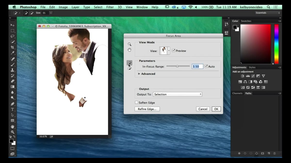 Plus brush tool active, painting over subject area to add to selection