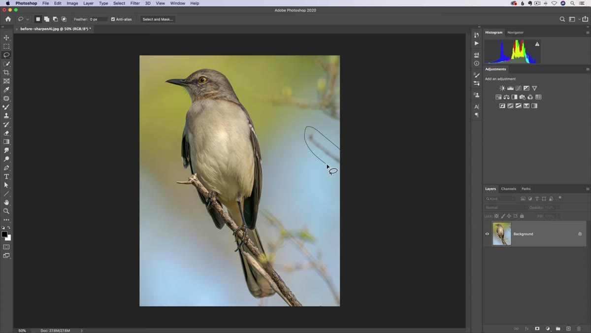 Lasso tool active, first object selected on photo