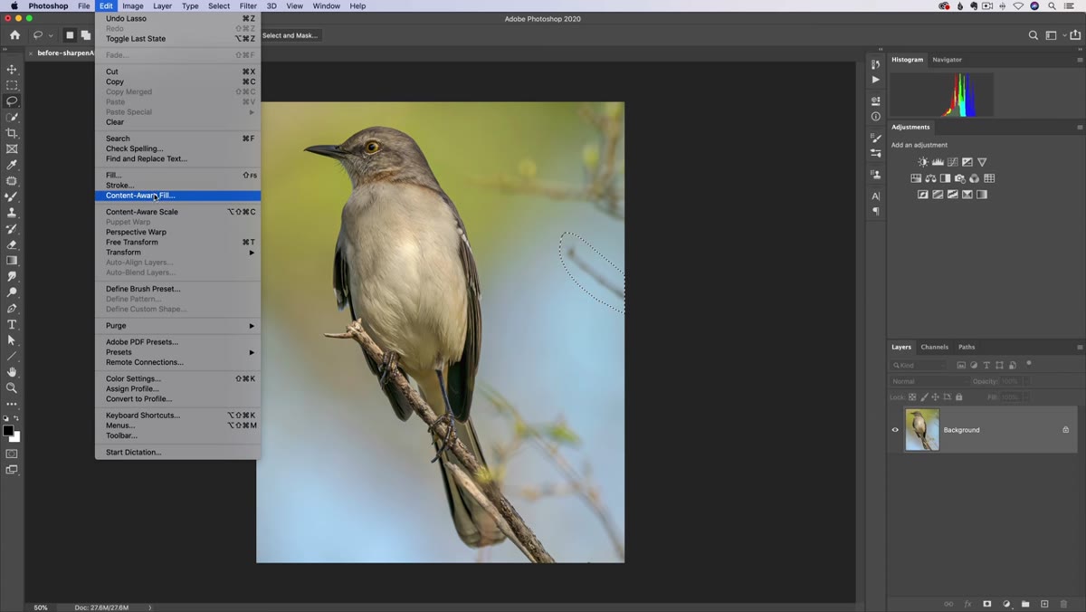 Edit menu open with Content-Aware Fill option highlighted