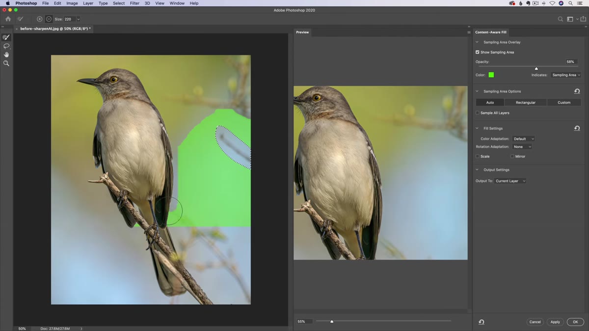 Green sampling overlay visible with sampling brush tool active
