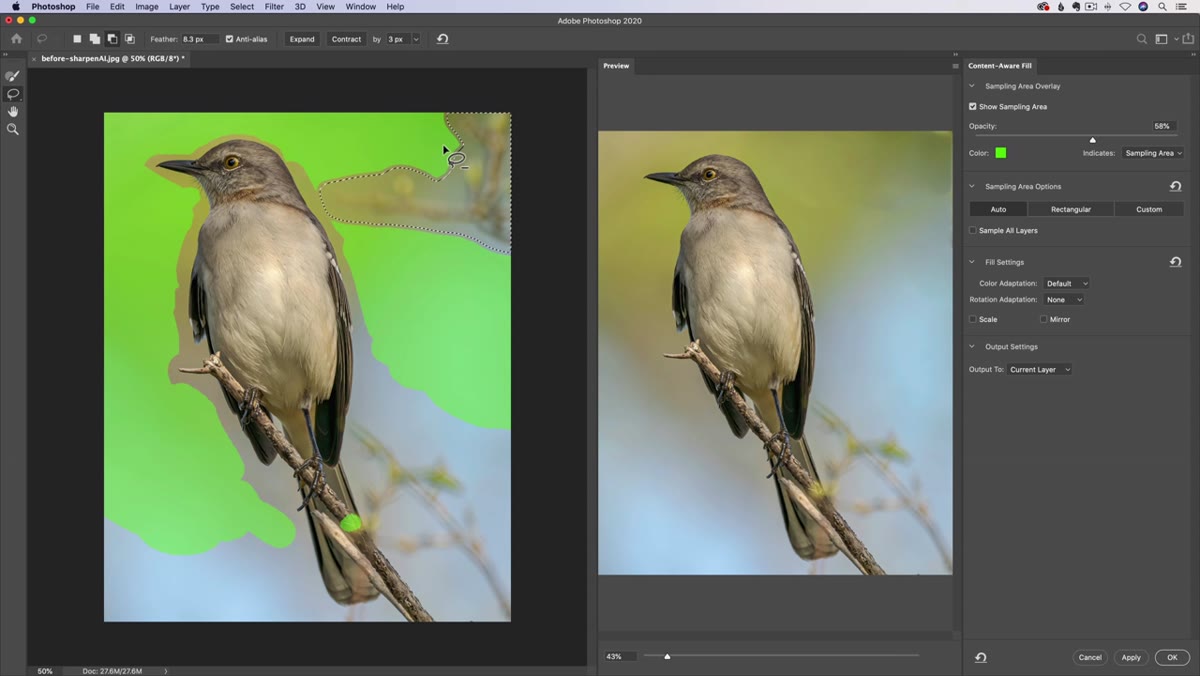 Lasso tool selected inside Content-Aware Fill workspace