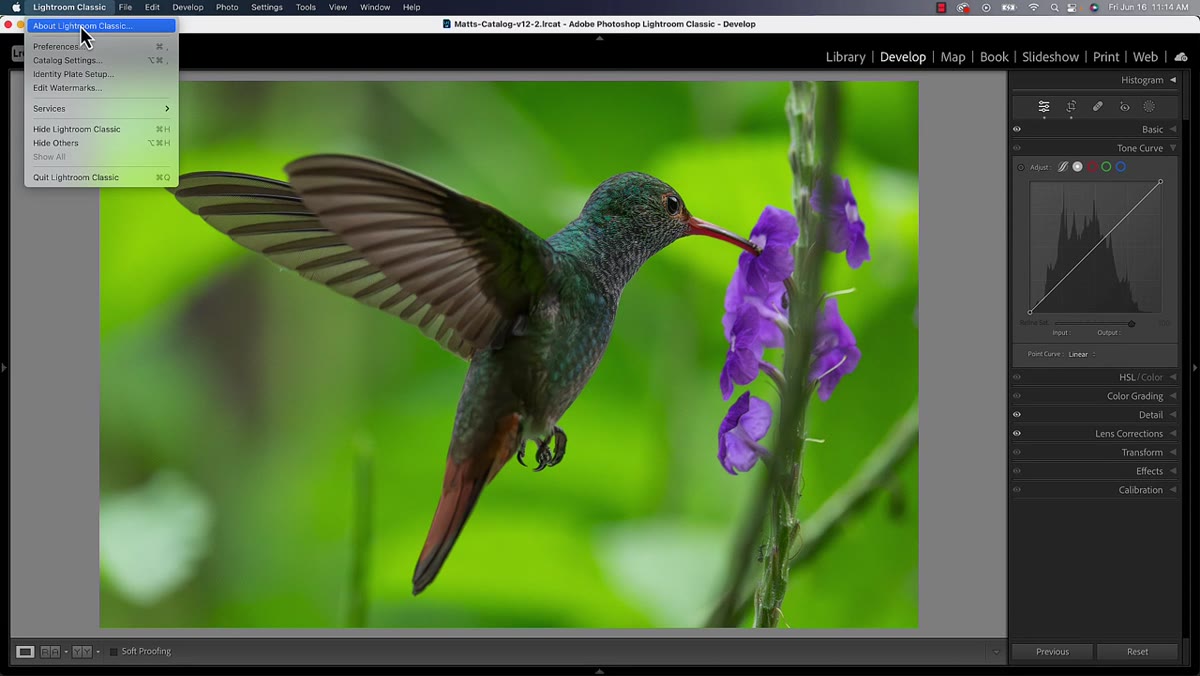 Lightroom Classic version number shown in panel