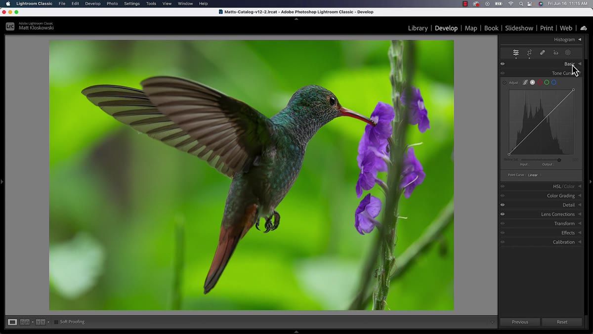 Tone Curve panel open in Lightroom Classic