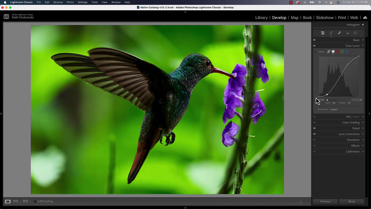 Zoomed-in view showing oversaturated greens and purples