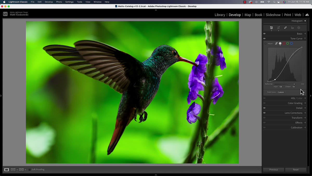 Refine Saturation slider visible below the Tone Curve