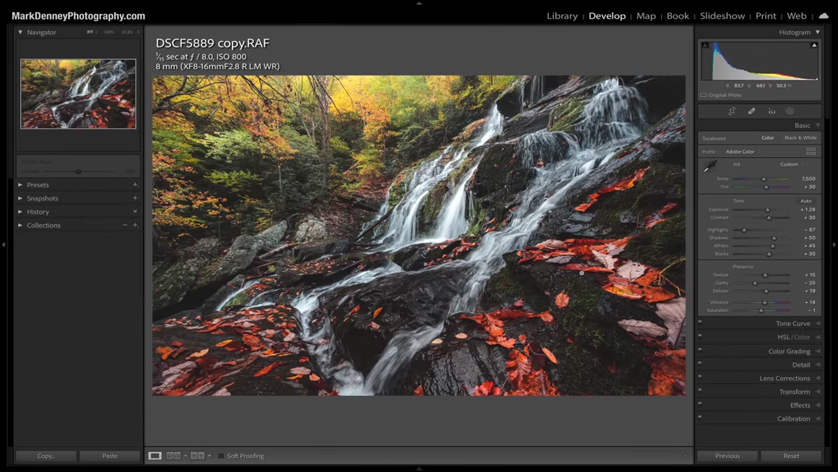 Full image visible, foreground waterfall vs background foliage contrast shown