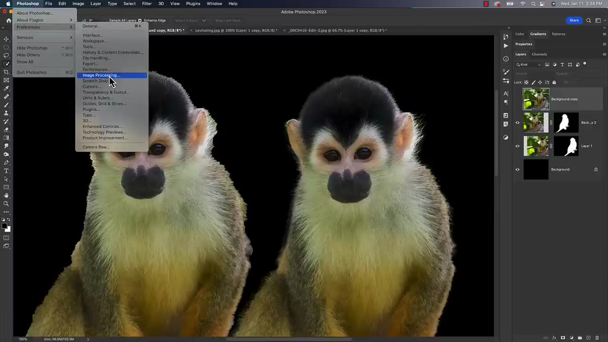 Photoshop Preferences panel open, navigating to Image Processing section