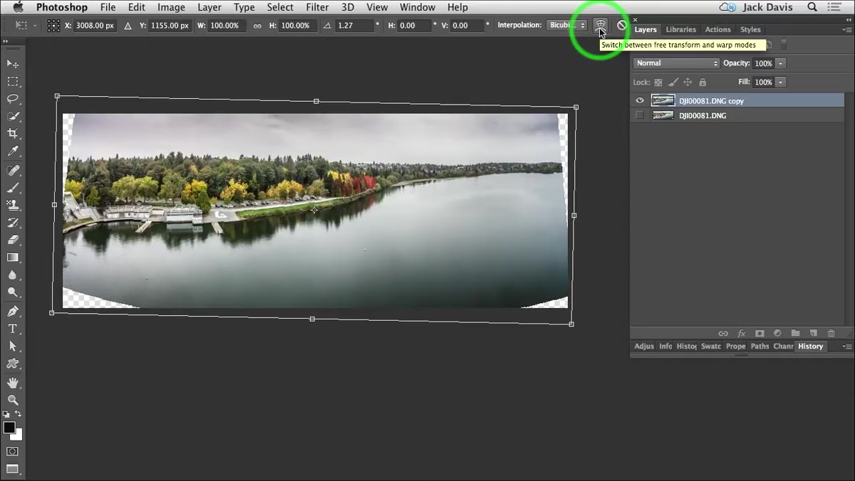Image Warp grid overlay applied to the panorama