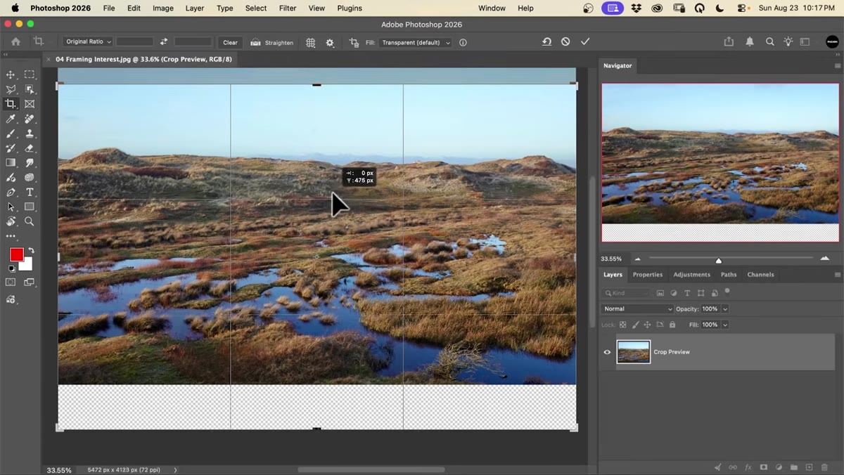 Crop positioned low with foreground dominating the frame